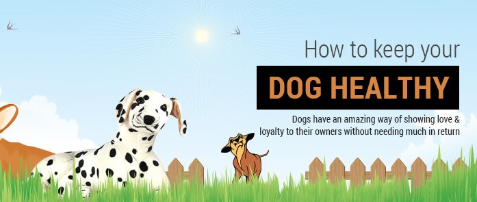 How Healthy is Your Dog?